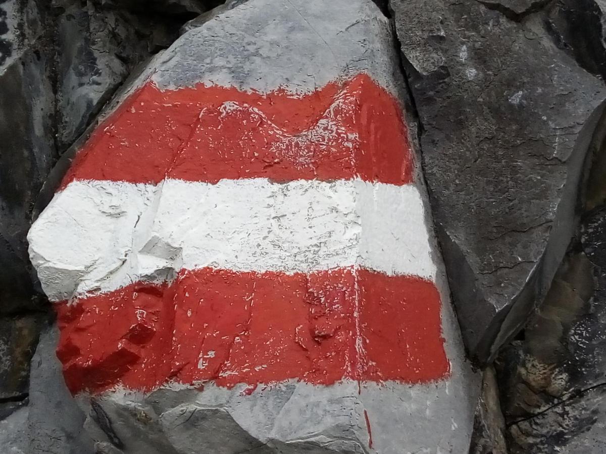 Haus Hoeller Kleinarl Dış mekan fotoğraf